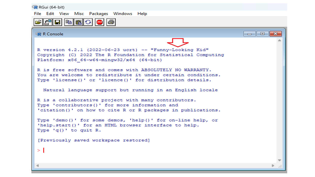 R Console